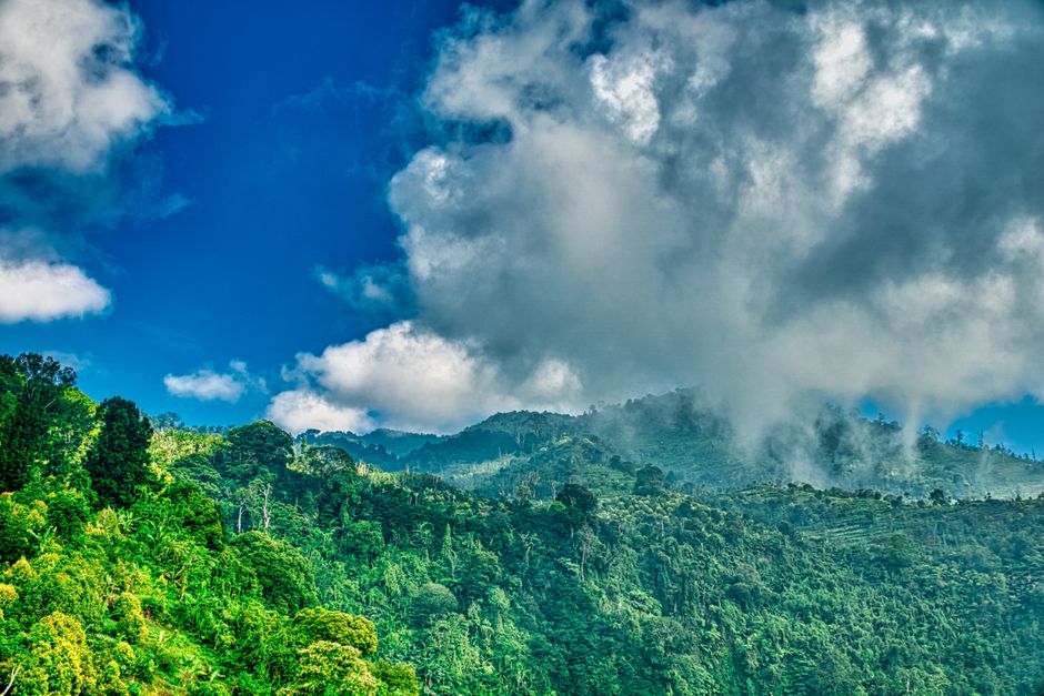 Detail Gambar Gunung Tertinggi Di Indonesia Number 19