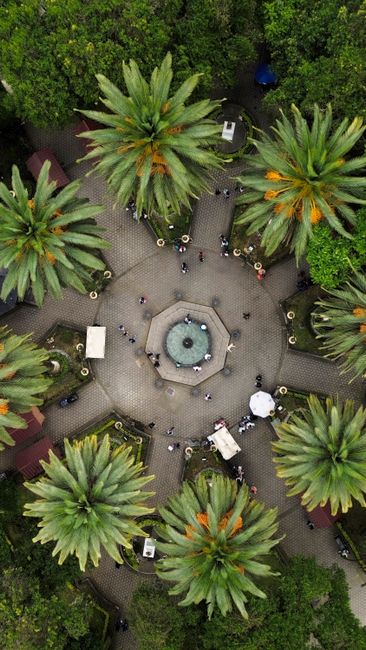 Detail Gambar Taman Bunga Dari Atas Number 15