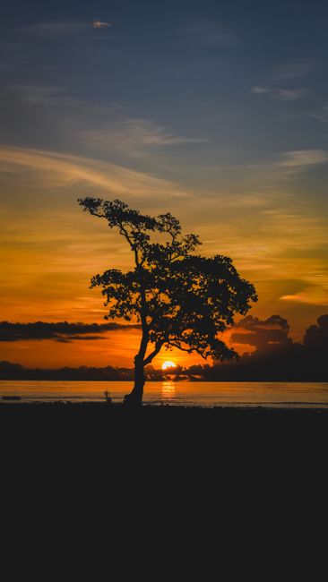 Detail Wallpaper Sunset 4k Untuk Laptop Number 16