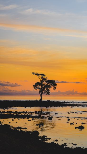 Detail Wallpaper Sunset 4k Untuk Laptop Number 10