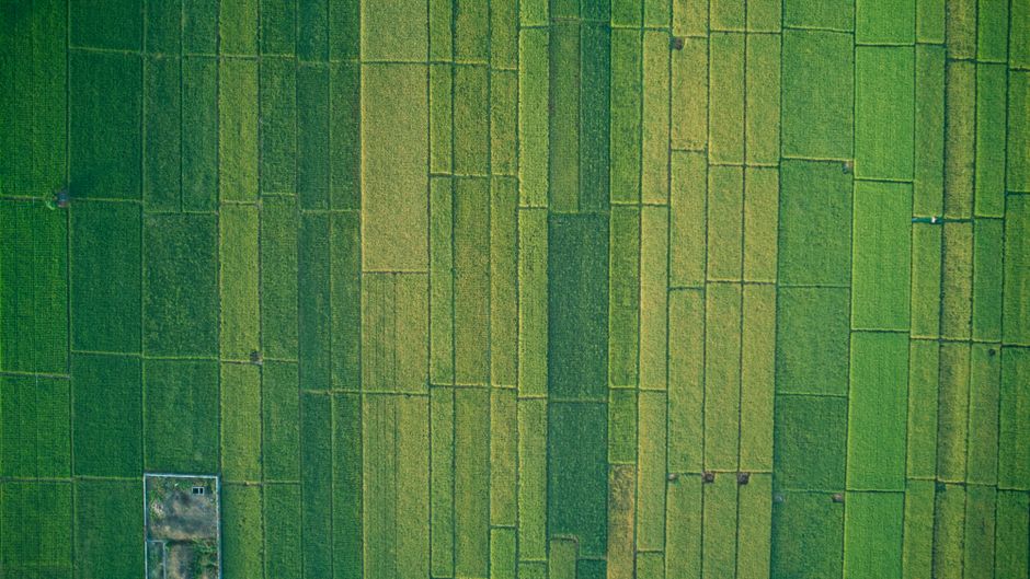 Detail Wallpaper Sawah Untuk Layar Hp Number 19