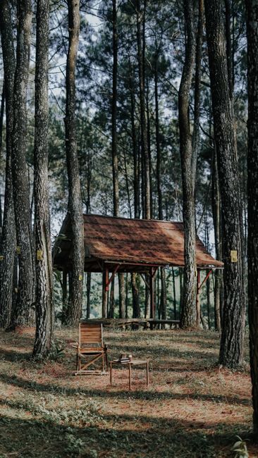 Detail Gambar Nature Untuk Background Zoom Number 20