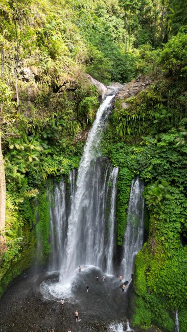 Detail Foto Air Terjun Dengan Hutan Tropis Number 16