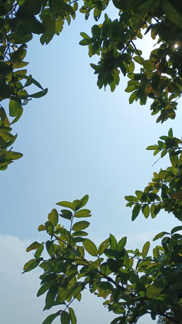 Detail Gambar Cuaca Cerah Setelah Hujan Number 7