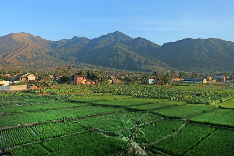 Detail Foto Pemandangan Puncak Bogor Number 20