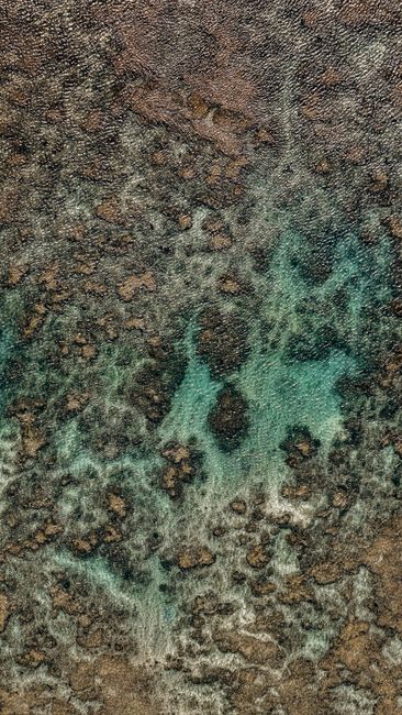 Foto Karang Laut Dari Atas