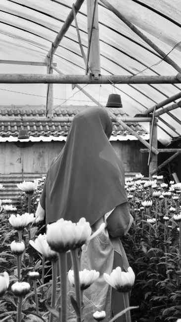Detail Foto Taman Bunga Yang Indah Number 15