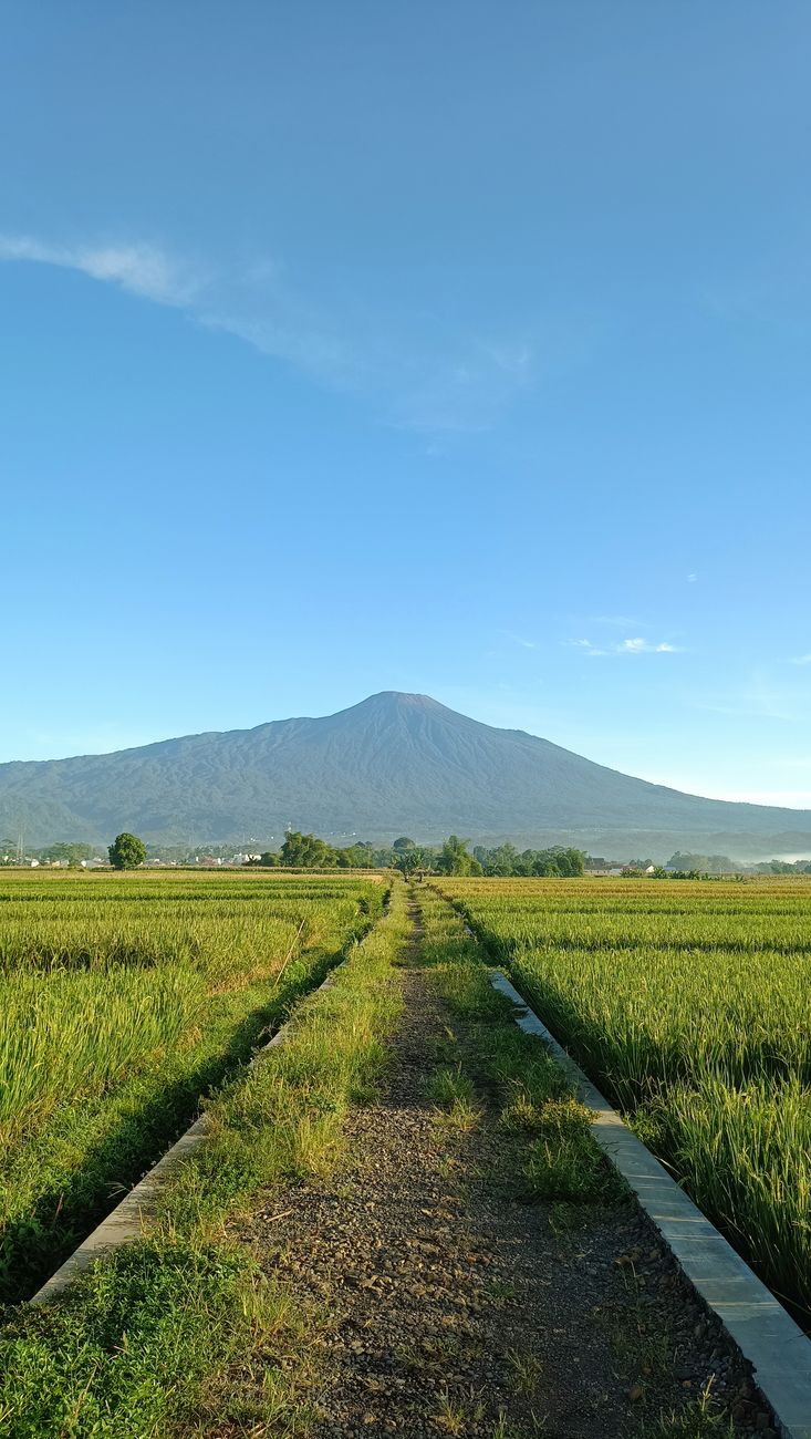 Detail Gambar Pemandangan Gunung Yang Indah Number 3