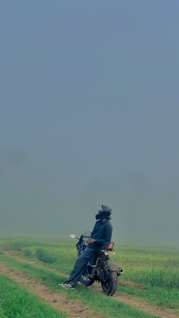 Detail Foto Hujan Di Tengah Sawah Number 13