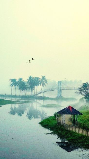 Detail Gambar Sungai Saat Pagi Berkabut Number 10
