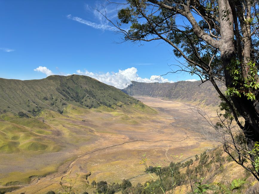 Foto Bukit Teletubbies Bromo