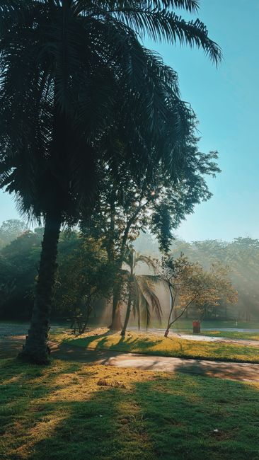Foto Alam Liar Resolusi 4k