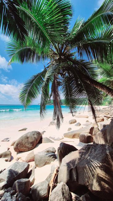 Detail Gambar Pantai Untuk Background Desktop Number 19