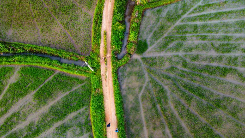 Detail Wallpaper Sawah Hd Untuk Laptop Number 16