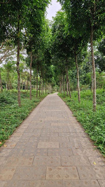 Detail Gambar Nature Untuk Background Zoom Number 4