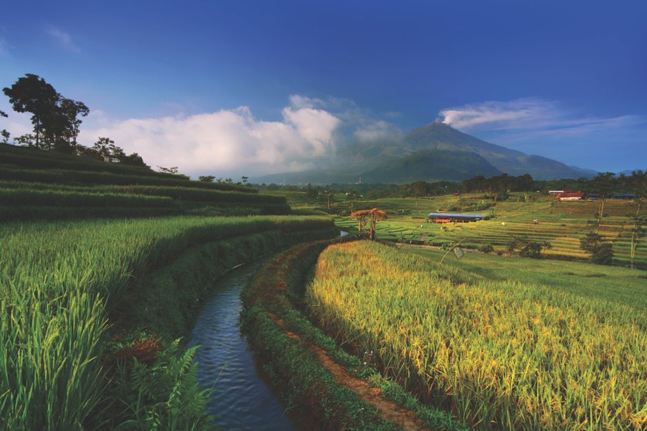 Detail Wallpaper Sawah Hd Untuk Laptop Number 15