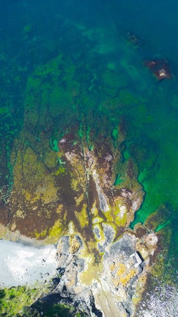 Detail Foto Karang Laut Dari Atas Number 10