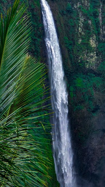 Detail Foto Air Terjun Dengan Hutan Tropis Number 4