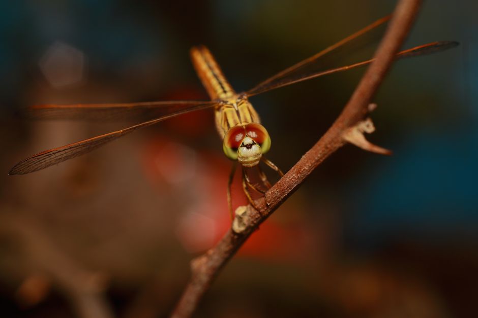 Detail Wallpaper Hutan Hd Untuk Desktop Number 15