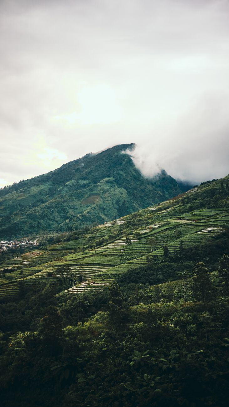 Detail Gambar Pemandangan Gunung Yang Indah Number 9