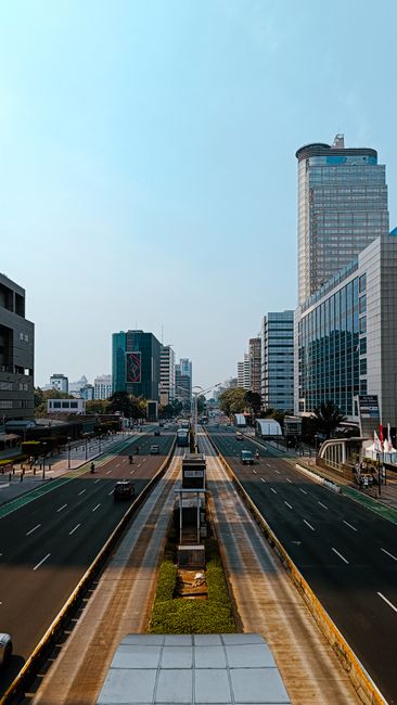 Detail Gambar Penghijauan Kota Dan Alam Number 16