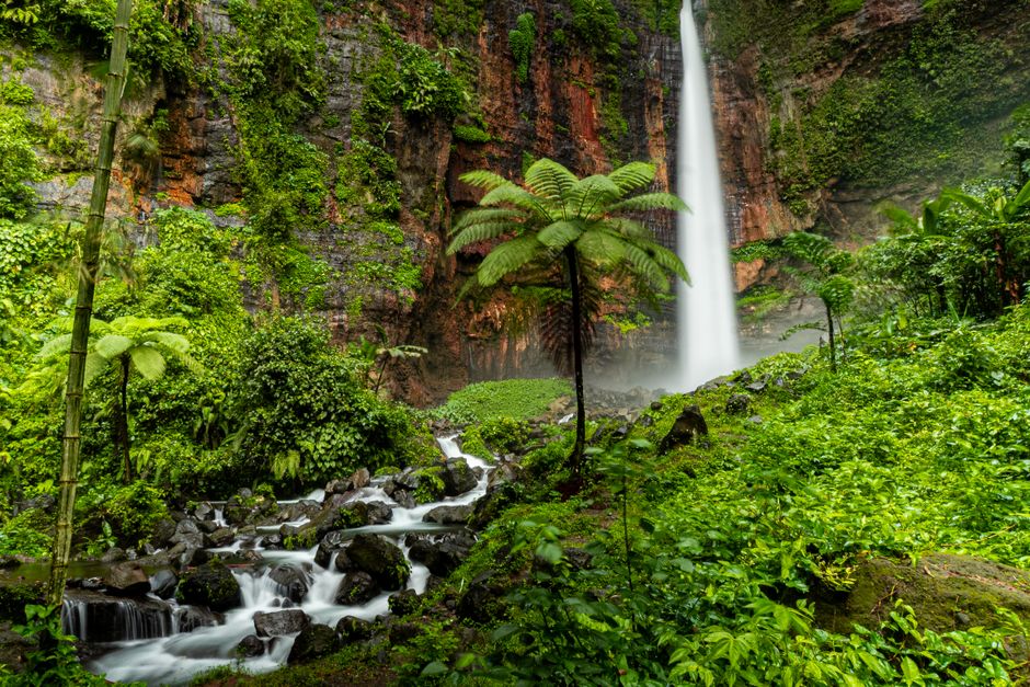 Detail Foto Air Terjun Dengan Hutan Tropis Number 17