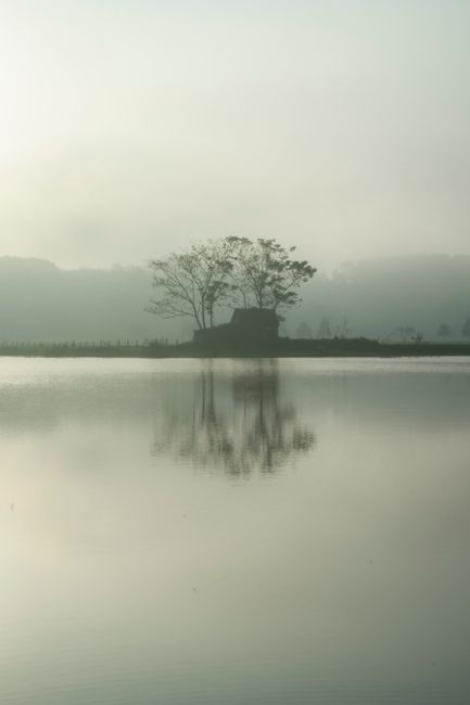 Detail Gambar Kabut Di Atas Danau Number 8