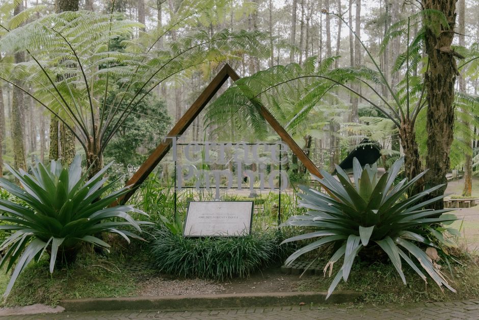 Detail Gambar Landscape Taman Nasional Number 9