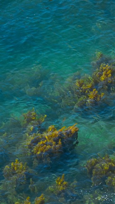 Detail Foto Karang Laut Dari Atas Number 15