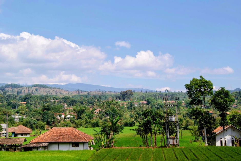 Gambar Pemandangan Kampung Dan Sawah