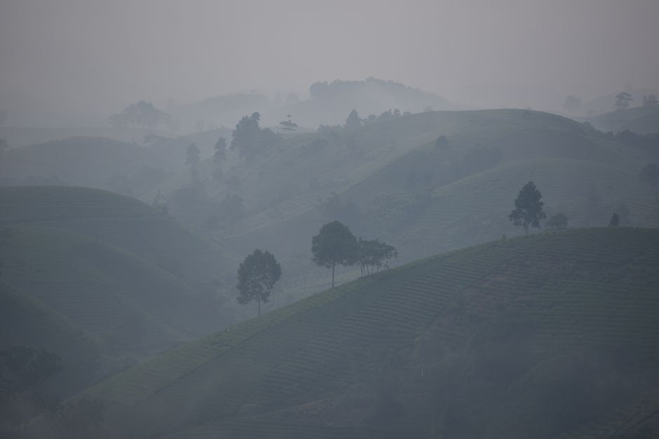 Detail Gambar Lembah Berkabut Saat Pagi Number 19