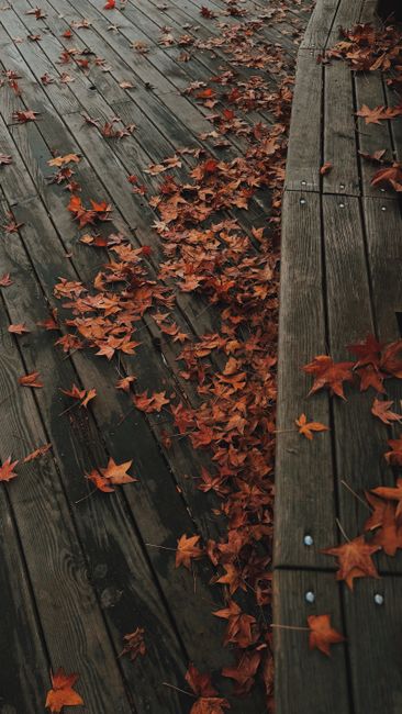Detail Wallpaper Musim Gugur Untuk Hp Number 9