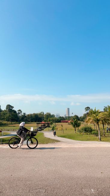 Gambar Penghijauan Kota Dan Alam