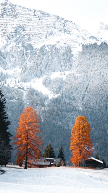 Detail Wallpaper Musim Dingin 4k Number 8
