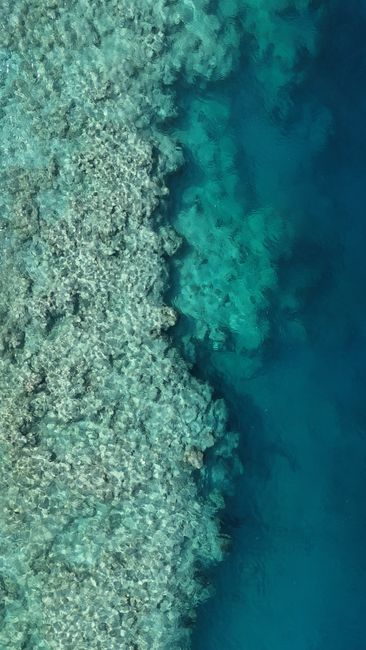 Detail Foto Karang Laut Dari Atas Number 4
