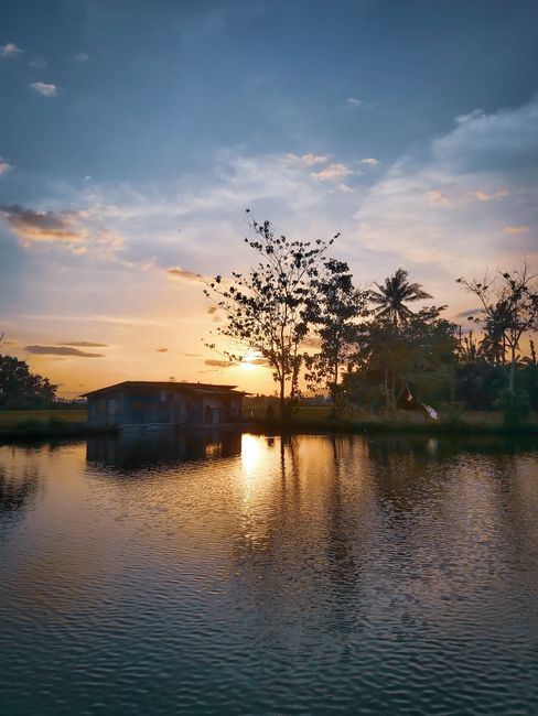 Detail Gambar Landscape Golden Hour Number 10