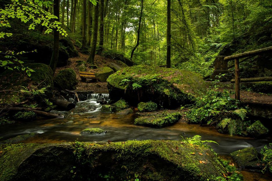 Gambar Nature Untuk Background Zoom 37bf