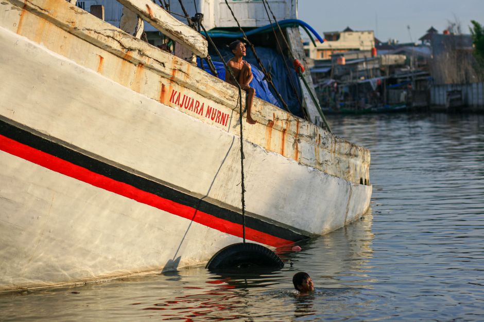 Gambar Pantai Dengan Pohon Kelapa 2d44