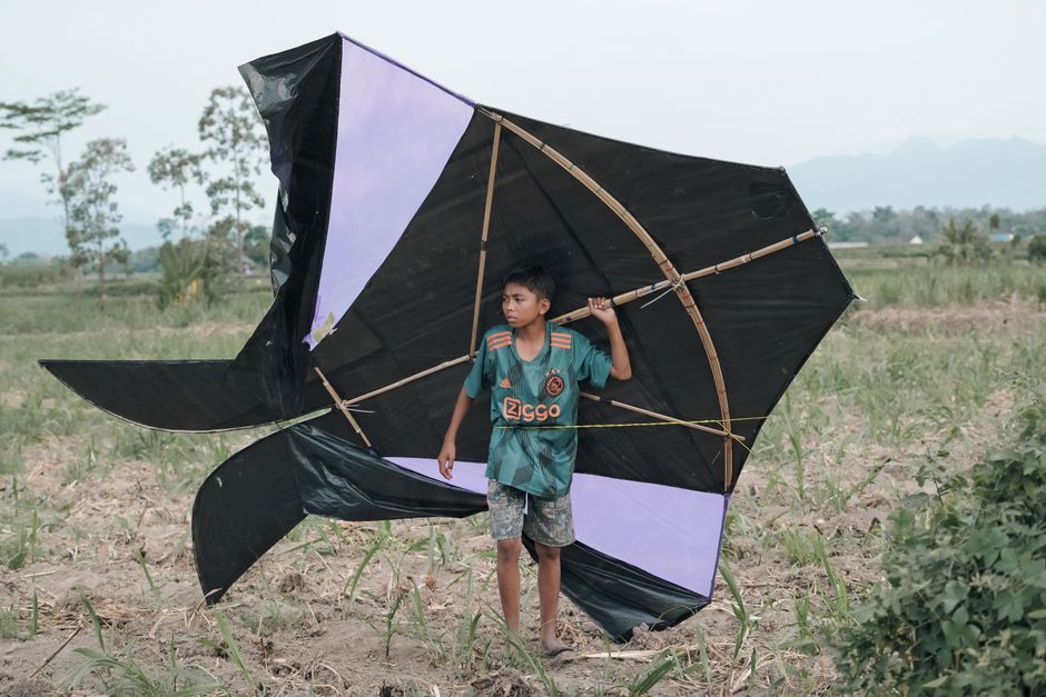 Foto Embun Pagi Di Persawahan
