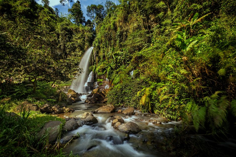 Detail Foto Air Terjun Dengan Hutan Tropis Number 19