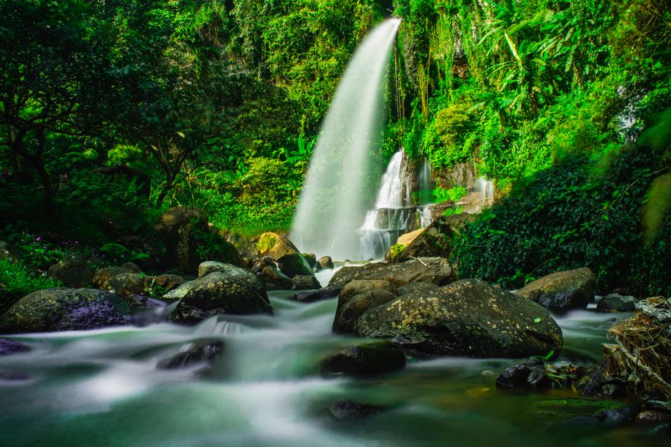 Detail Gambar Pemandangan Air Terjun Hijau Number 18