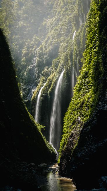 Detail Gambar Pemandangan Air Terjun Hijau Number 11
