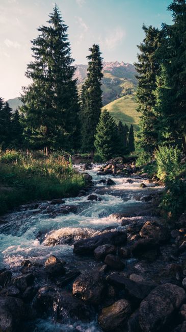 Detail Wallpaper Sungai Dan Hutan 4k Number 5