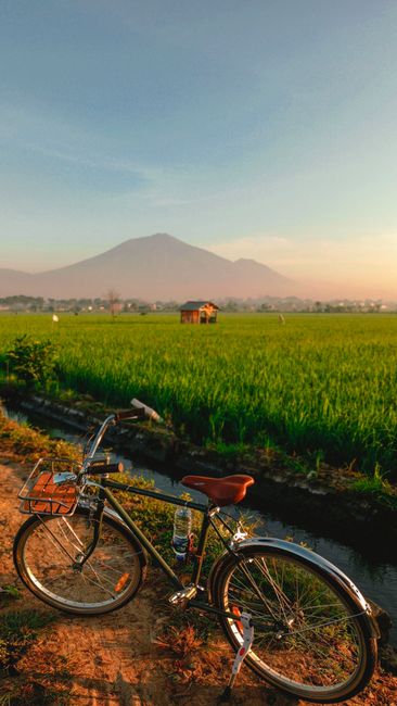 Detail Wallpaper Sawah Hd Untuk Laptop Number 14