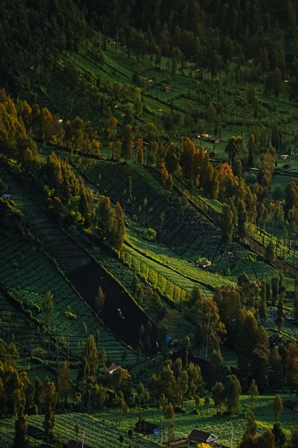 Detail Gambar Landscape Taman Nasional Number 11