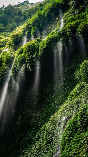 Detail Gambar Pemandangan Air Terjun Hijau Number 9