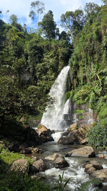 Detail Foto Air Terjun Dengan Hutan Tropis Number 11