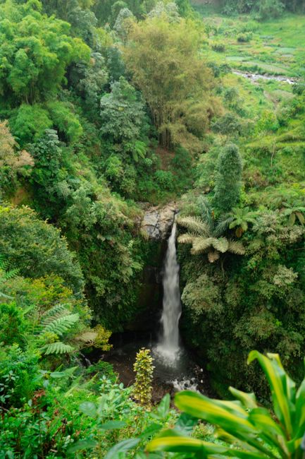 Detail Foto Air Terjun Dengan Hutan Tropis Number 6