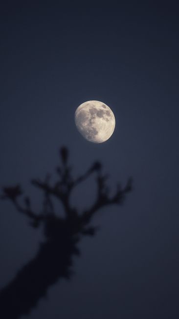 Detail Foto Langit Malam Dengan Bulan Number 6