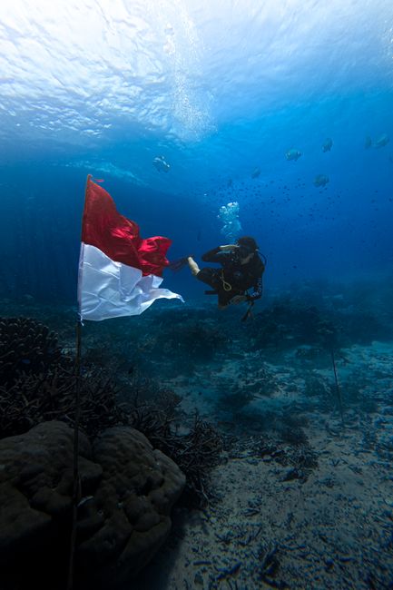 Detail Gambar Konservasi Laut Indonesia Number 8